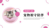 粉色小猫背景萌宠到家店铺活动策划PPT模板-第3张图