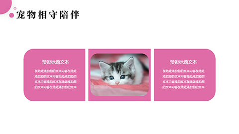 粉色小猫背景萌宠到家店铺活动策划PPT模板 相册第5张图 