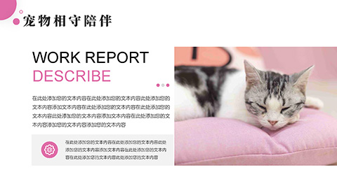 粉色小猫背景萌宠到家店铺活动策划PPT模板 相册第7张图 